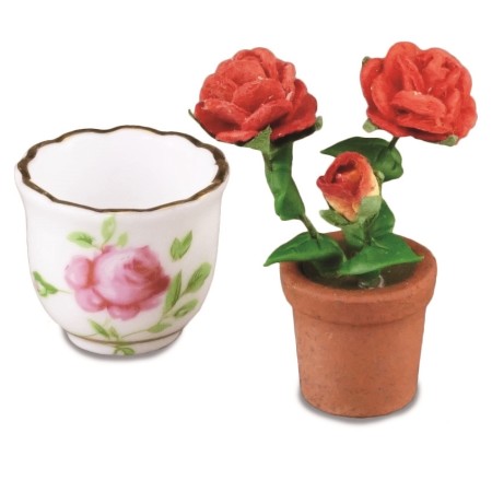 Pot With Rose Bush