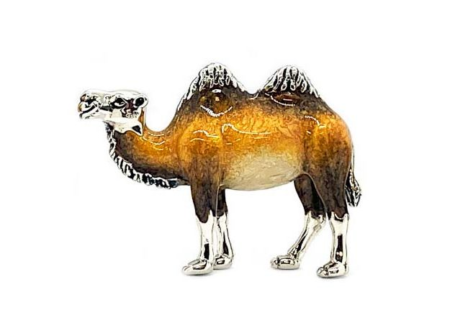 Silver Camel